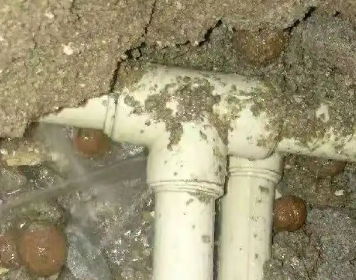 高港测漏水多少钱