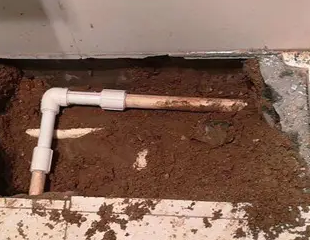 高港测漏水哪家好