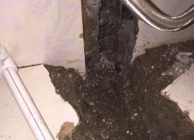 高港卫生间测漏水哪家好