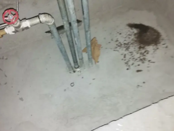 高港卫生间测漏水价格明细