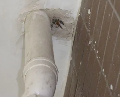 高港漏水检测哪家好